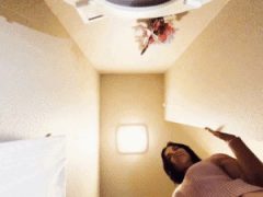 Toiletslavery | Scat Tube